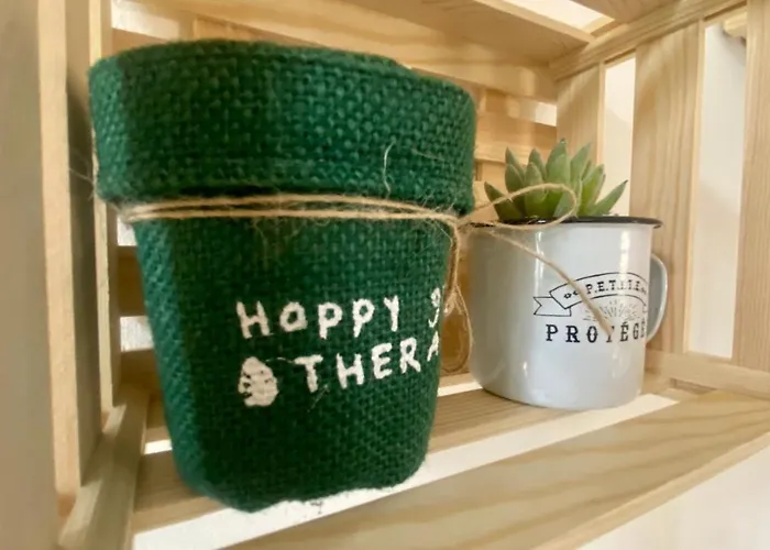 30m2 - 400 Metres Cite Mediavale *