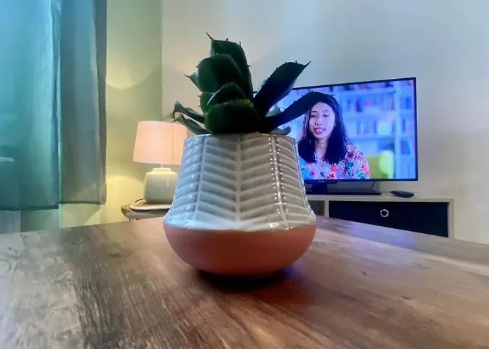 30m2 - 400 Metres Cite Mediavale *